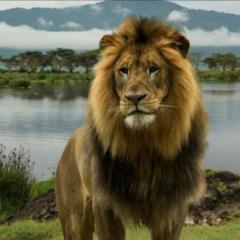 Lion Martin