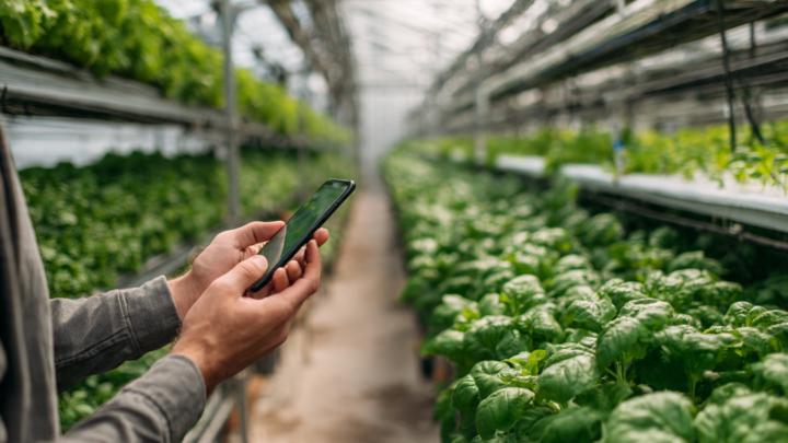 Leveraging AI and IoT for Smarter, Sustainable Food Production