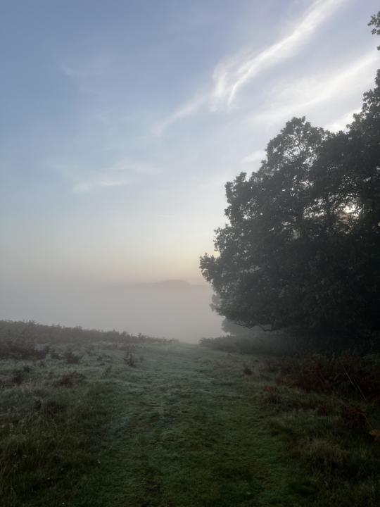 Early walks?