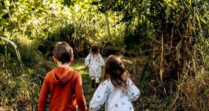 The Wild Explorers Community