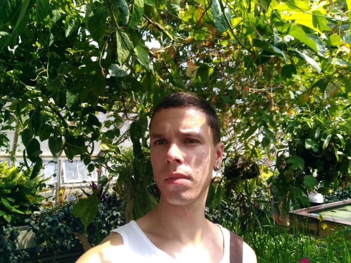 Robert Malnieks