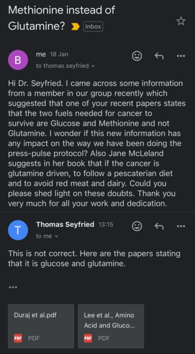 Dr. Seyfried’s Email Response about Methionine