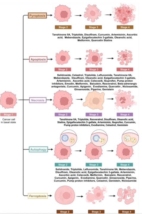 Helpful diagrams and flow charts 