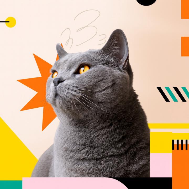 Antonio Gonzalez López