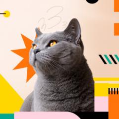 Antonio Gonzalez López