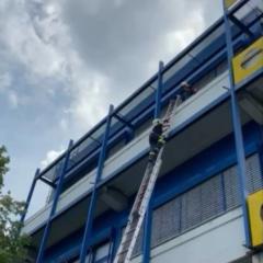 Söffels Schatzschneider