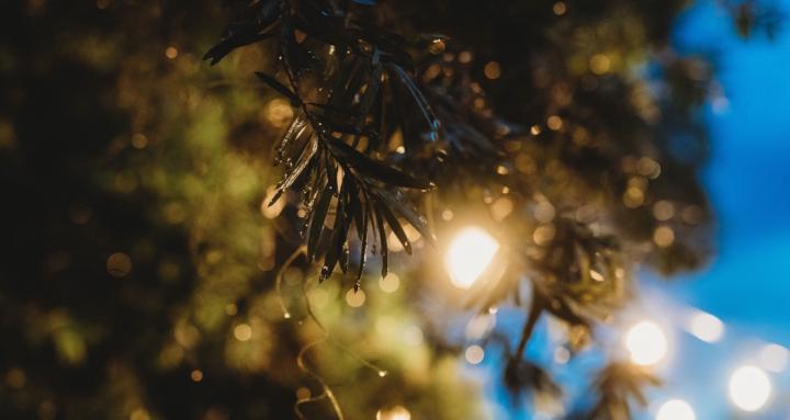 The Golden Hour Collective