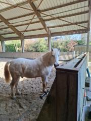 Dominique Vanderveken