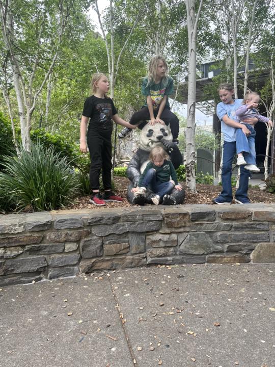 ✨ WIN OF THE WEEK ✨