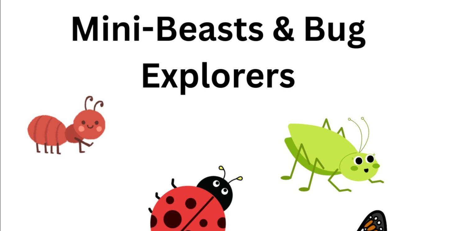 Mini Beasts and Bugs