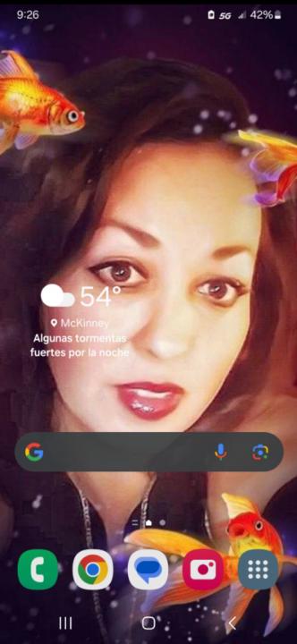 Sandra yadira Carlos