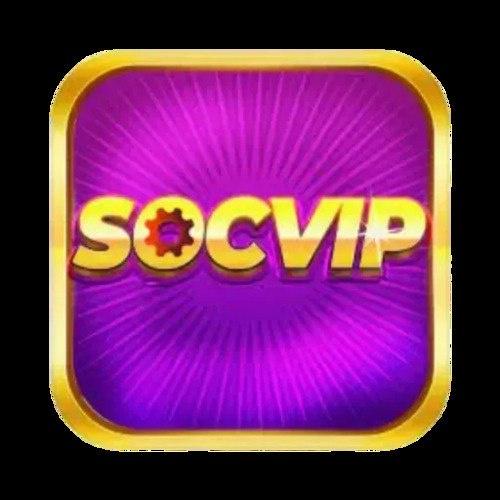 SocVip Org