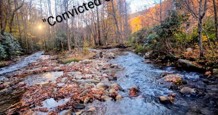 Convicted  collections