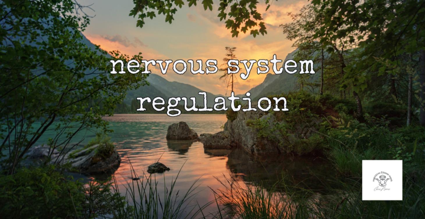 Nervous System Regulation