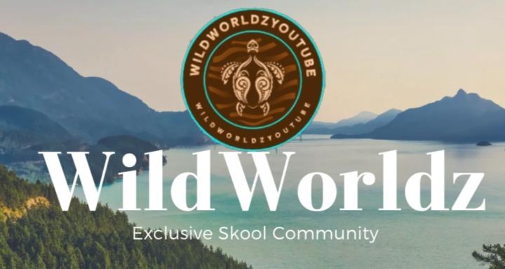 WildWorldz Exclusive