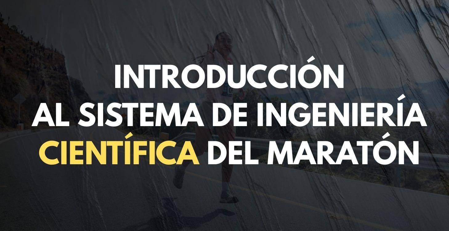 INTRODUCCIÓN al SISTEMA