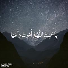 Ahmed Turi