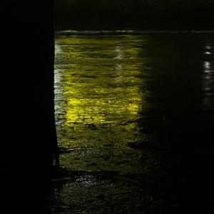 Даниил Резниченко