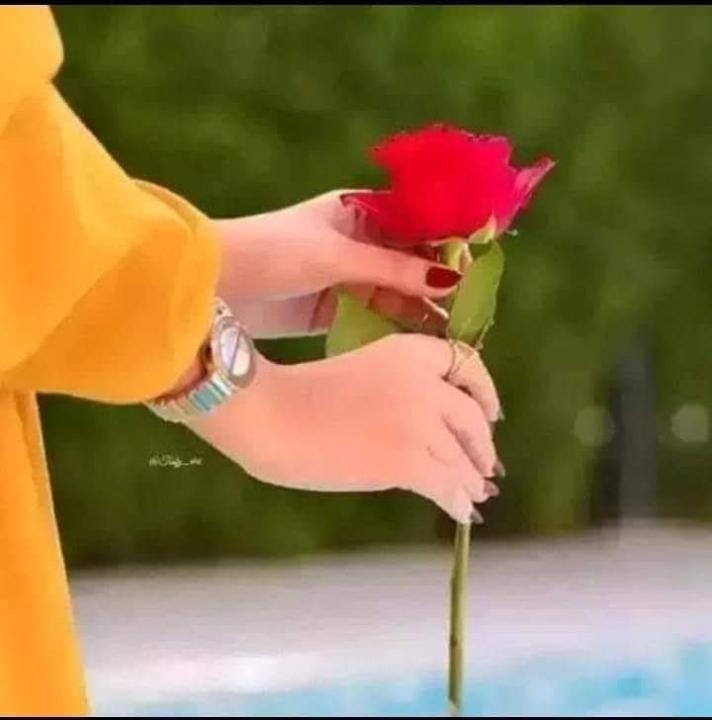 Abdiqadir Ahmed