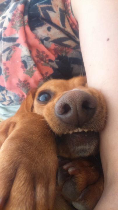 Alejandra Toran Moya