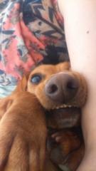 Alejandra Toran Moya