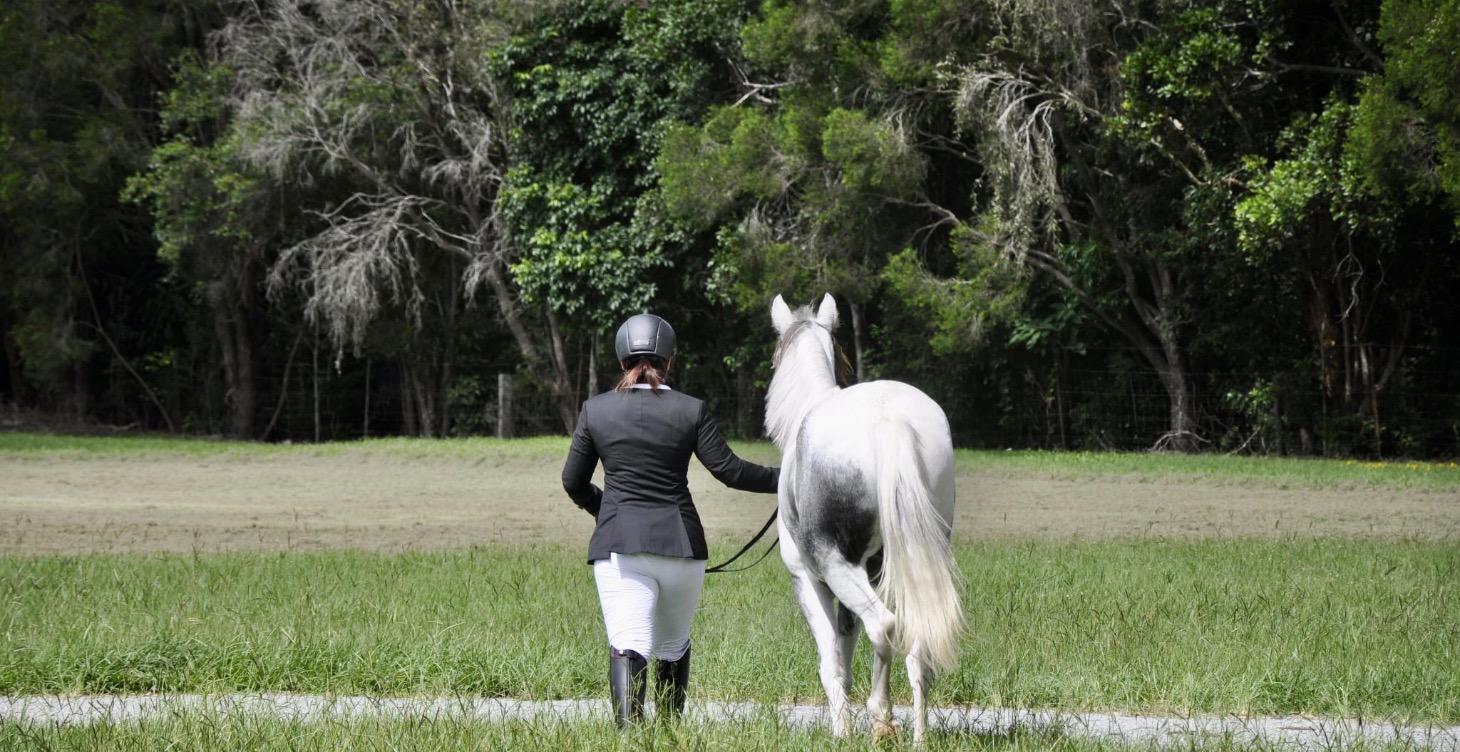 Buying and Selling Horses