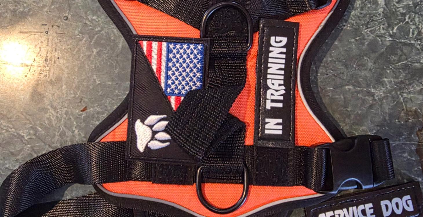 Becoming a K-9 Handler