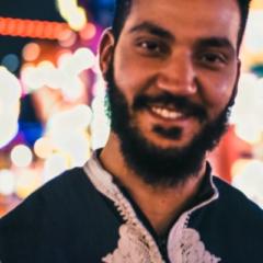 Mohamed Arab