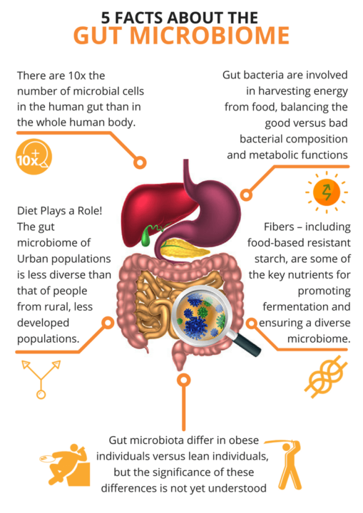 Gluten, Glyphosate and Your Gut Health 