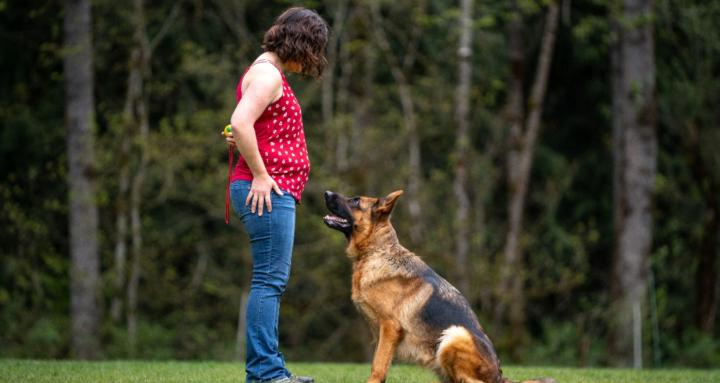 Audax K9 Academy