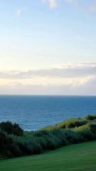 Sree Krishna Krishna