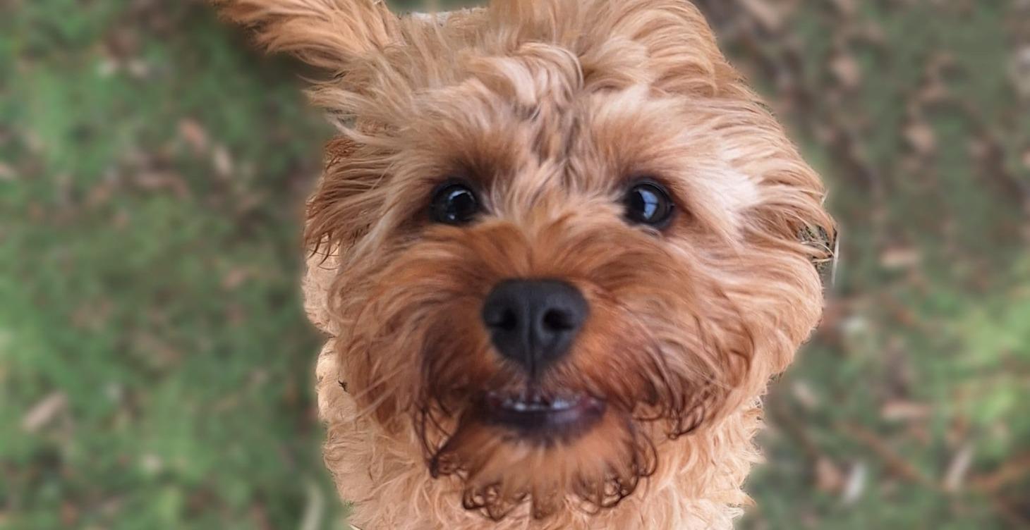 72-Hour Focus Challenge