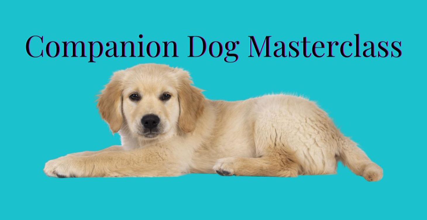Companion Dog Masterclass