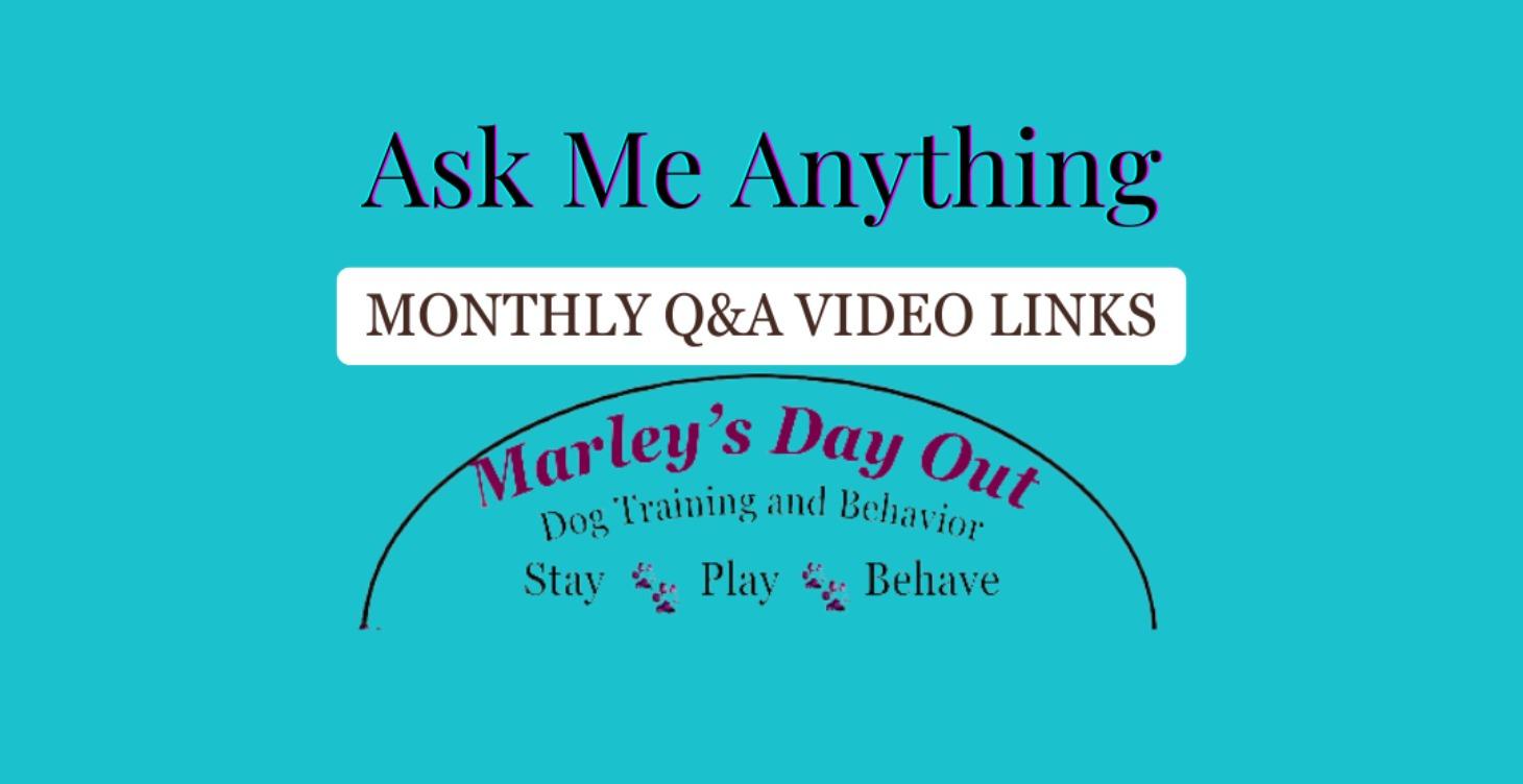 Community Support Replays