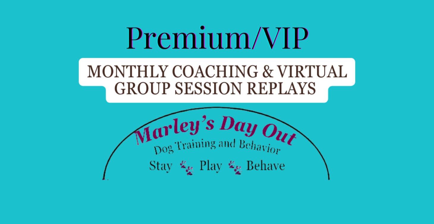 Replays: Coaching and Virtual Group Sessions