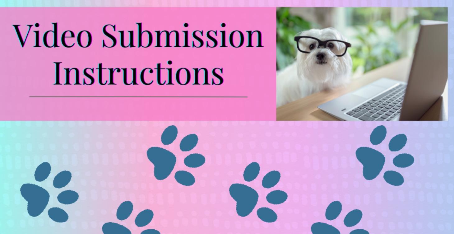 Premium/VIP Video Submission Instructions