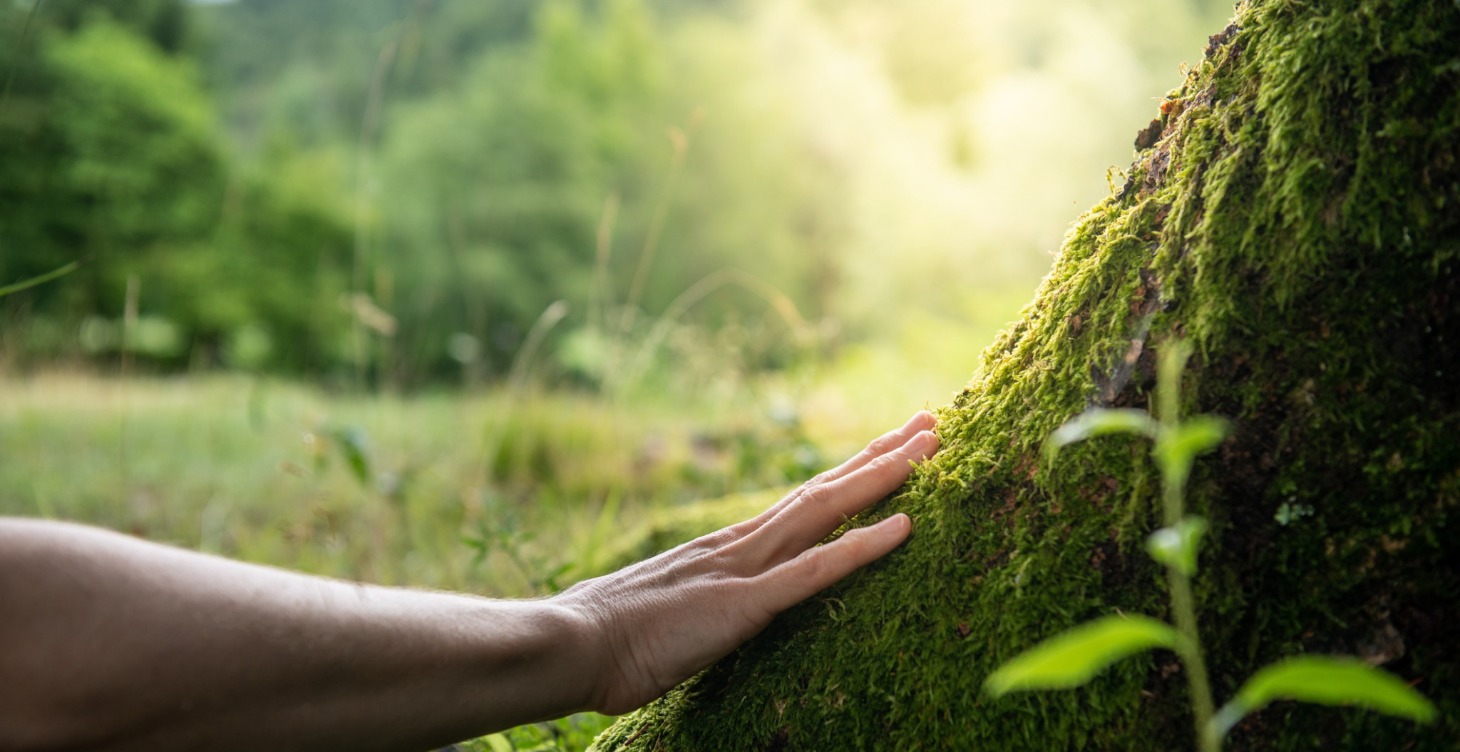 Mindfulness and Meditation Practices