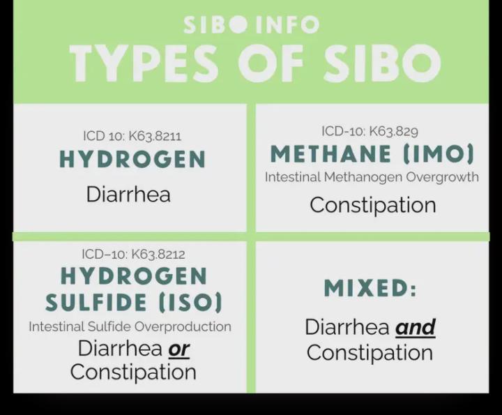FitnHealthy Gut Reset™ - Lesson 2 - Hydrogen vs Methane 