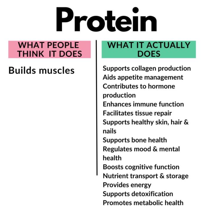 Protein beyond building muscles 