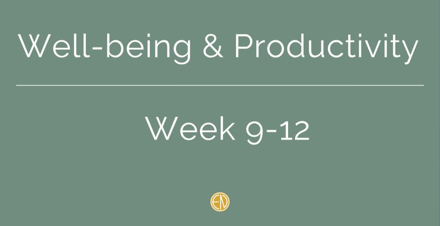 Well Being & Productivity