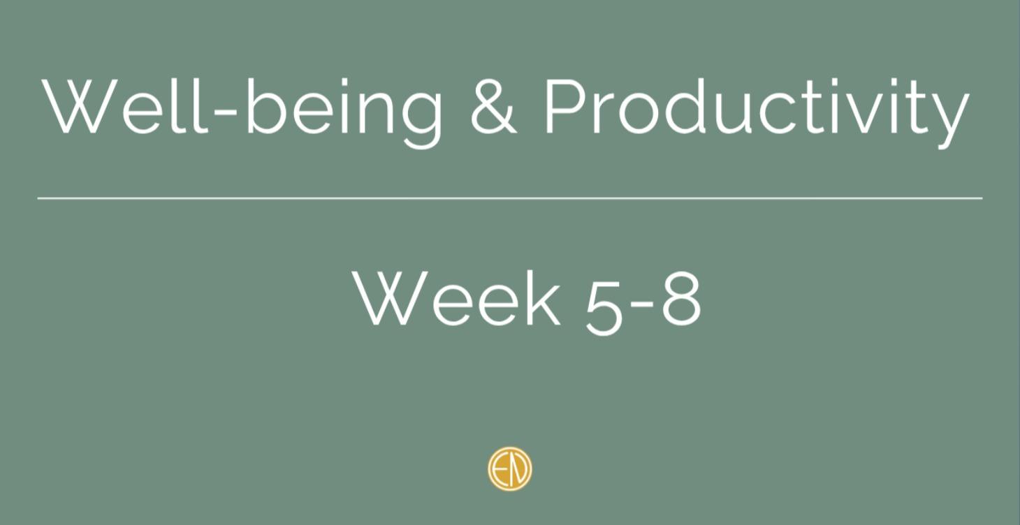 Well Being & Productivity