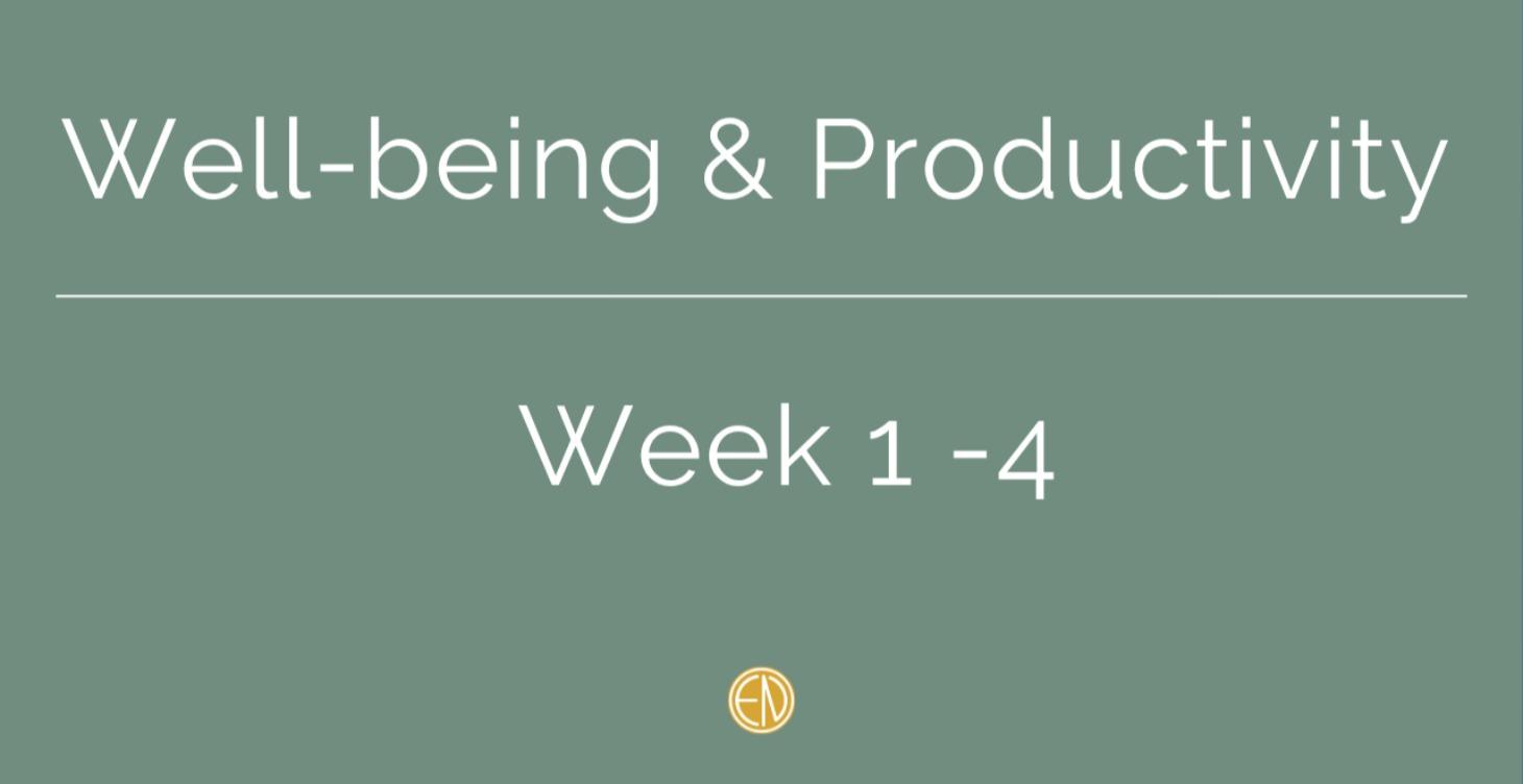 Well Being & Productivity