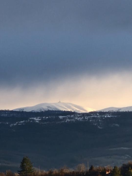 Петя Матеева