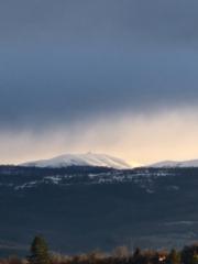 Петя Матеева