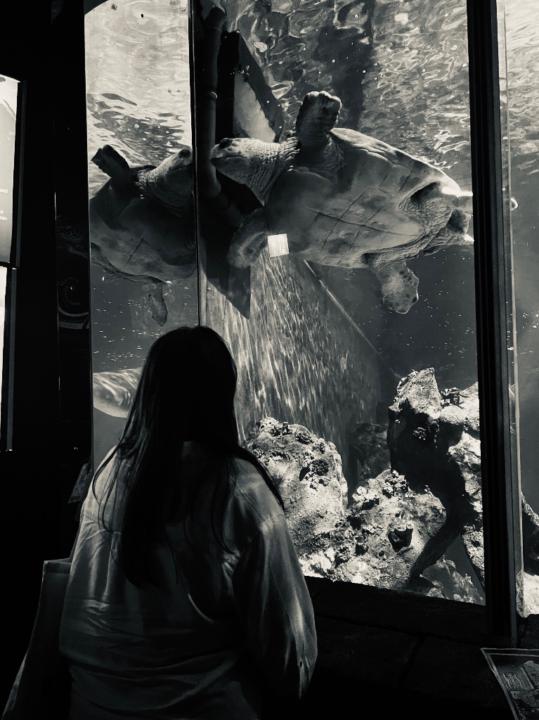 Ірина Базилєв