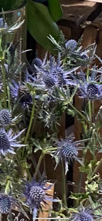 Wondermomdigital Wondermomdigital