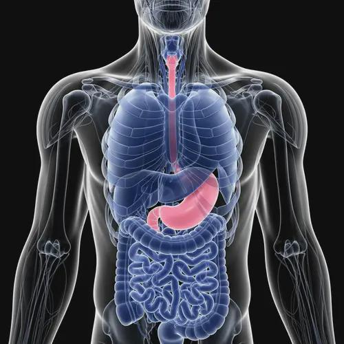 NEW COURSE SECTION AVAILABLE IN CLASSROOM