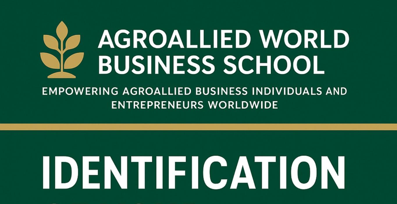 Identification of your Personal and Brand Problems