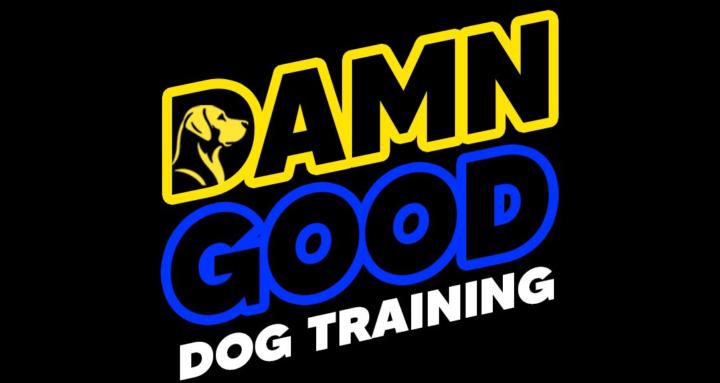 Damn Good Dog Training
