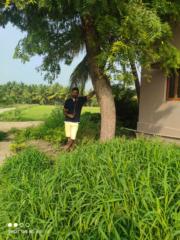 Sarathkumar Seenivasan